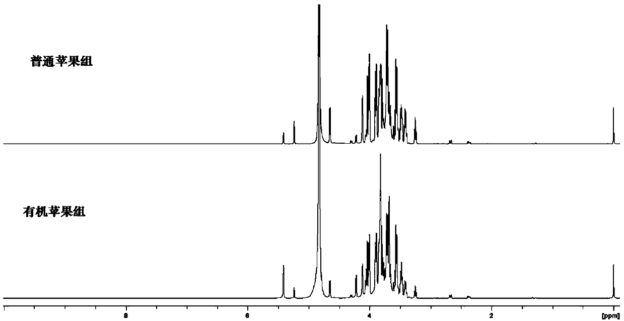 Method for identifying organic apples and common apples based on NMR metabonomics