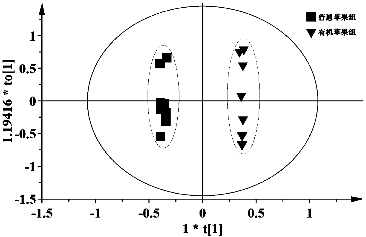 Method for identifying organic apples and common apples based on NMR metabonomics