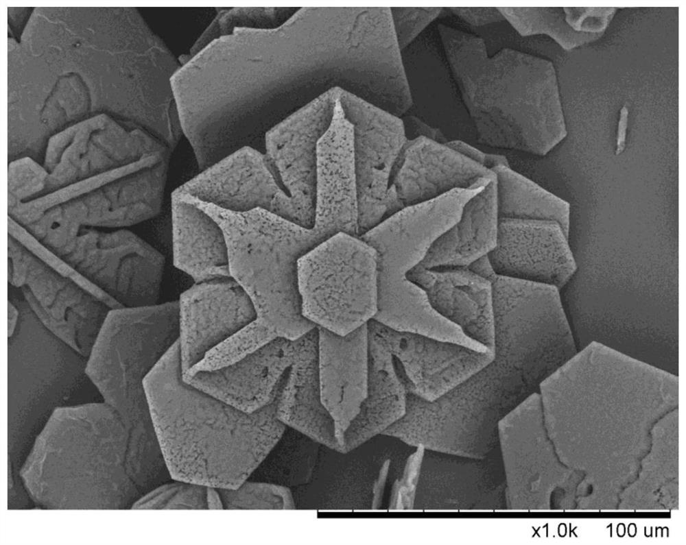 A kind of preparation method of hmx explosive with snow flake structure