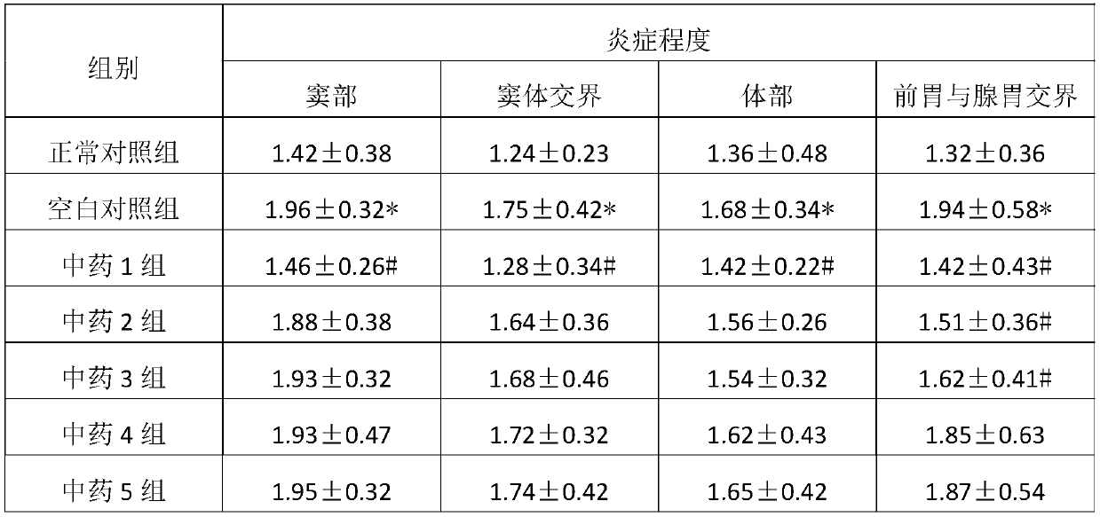 A traditional Chinese medicine composition for treating chronic atrophic gastritis and its application
