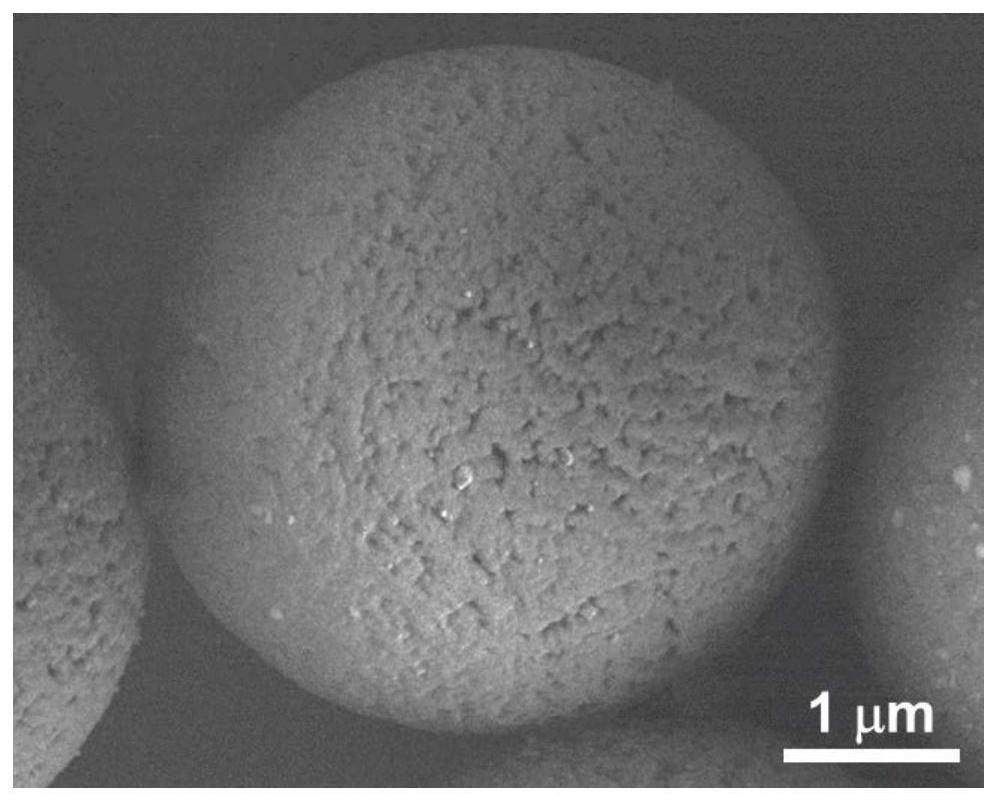 A kind of amphiphilic core-shell porous polymer microsphere and preparation method thereof