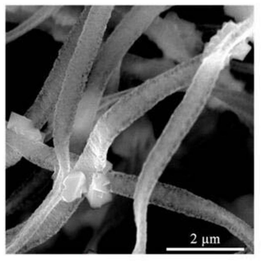 a kind of in  <sub>2</sub> o  <sub>3</sub> Particle/in  <sub>2</sub> o  <sub>3</sub> Synthetic method of nanoribbons and products obtained therefrom