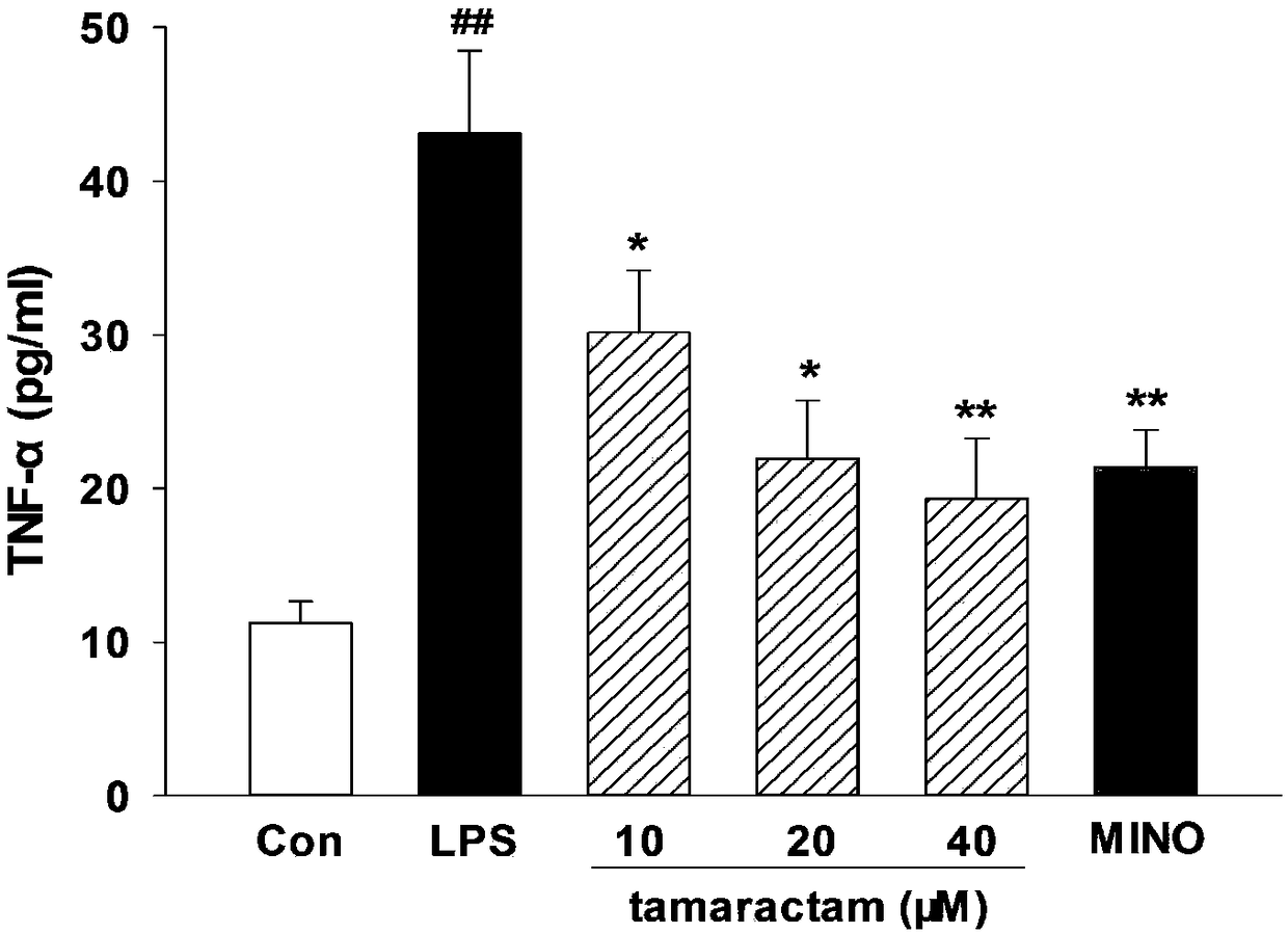 Application of scopoletin to preparation of medicine for inhibiting neuroinflammation