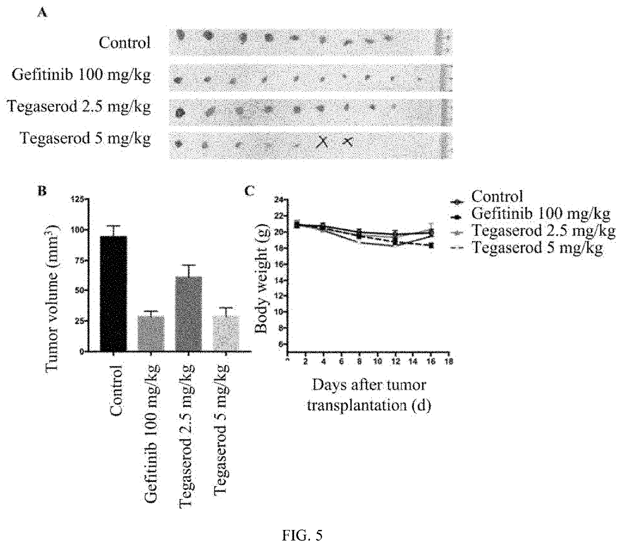 Application of tegaserod in preparation of Anti-tumor drug