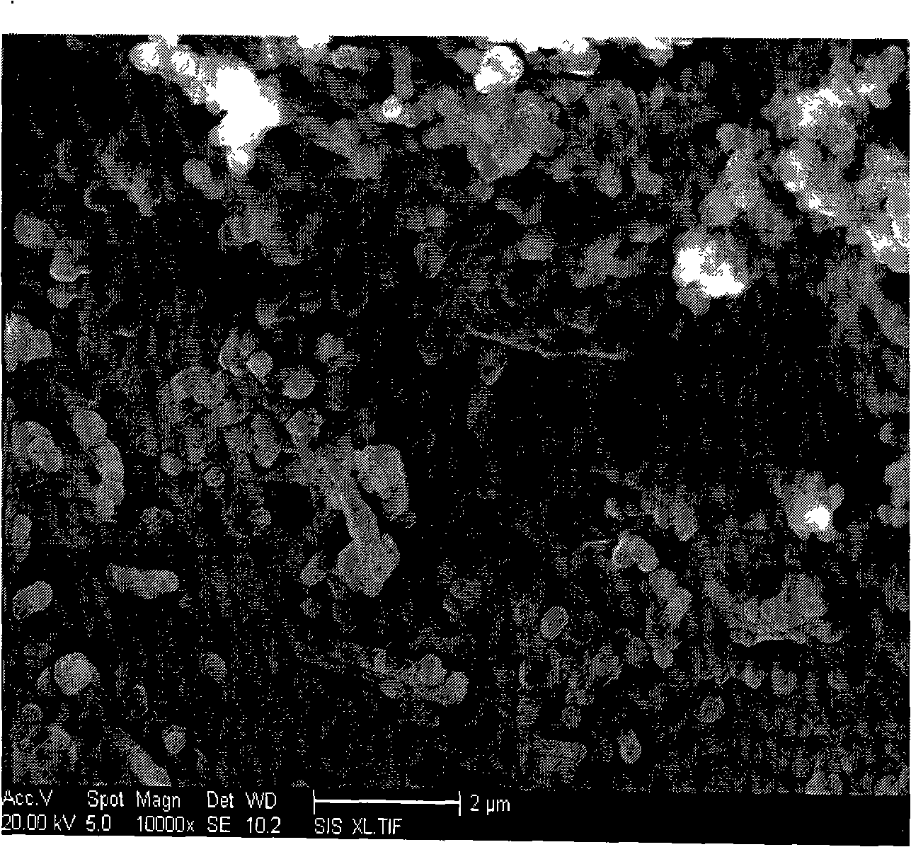 Preparation method of strontium bismuth tantalite nanometer line