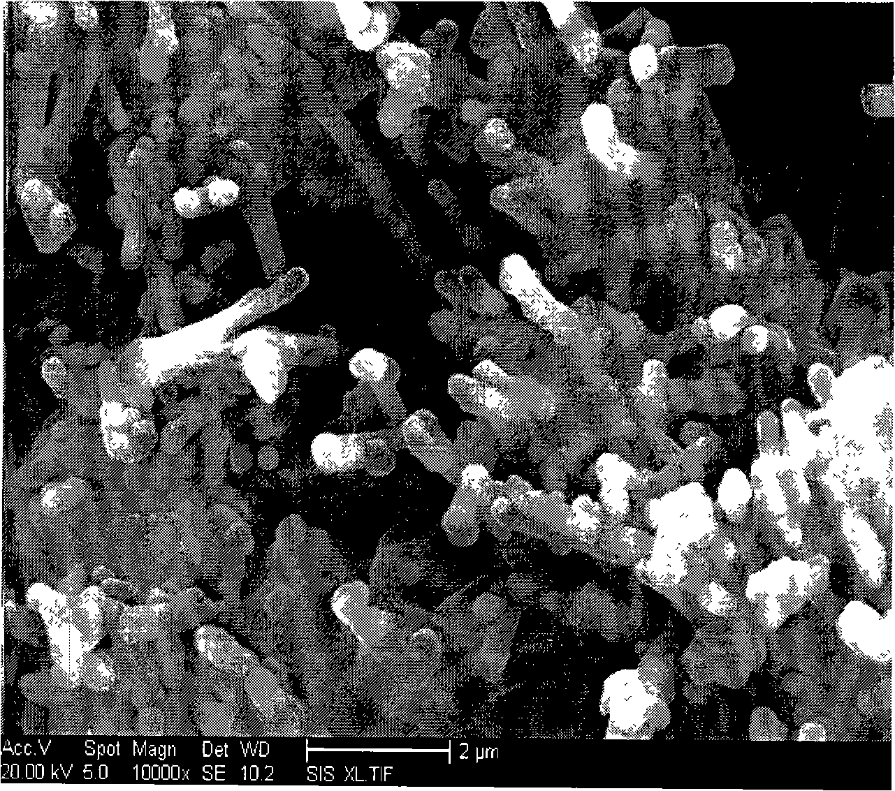 Preparation method of strontium bismuth tantalite nanometer line