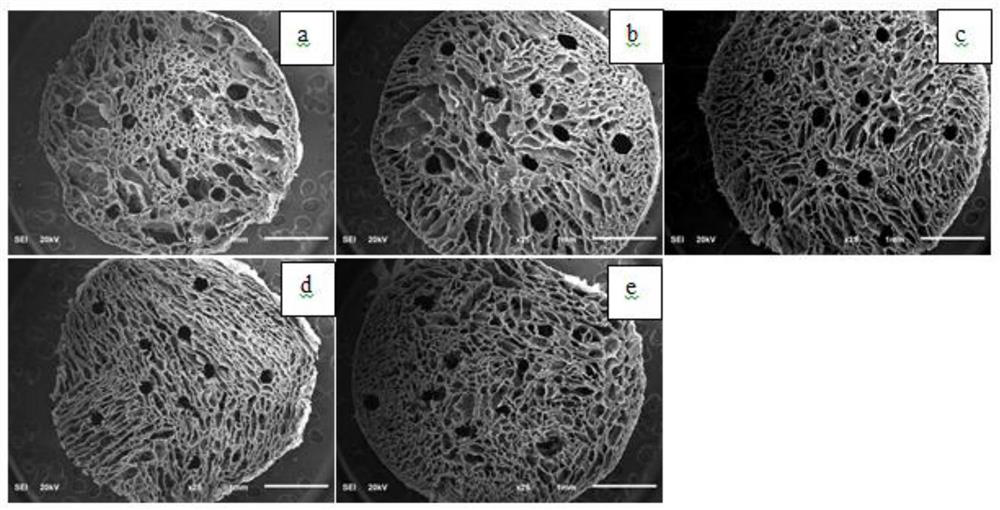 Porous silk fibroin spinal cord scaffold with directional release function, its preparation method, preparation mold and application