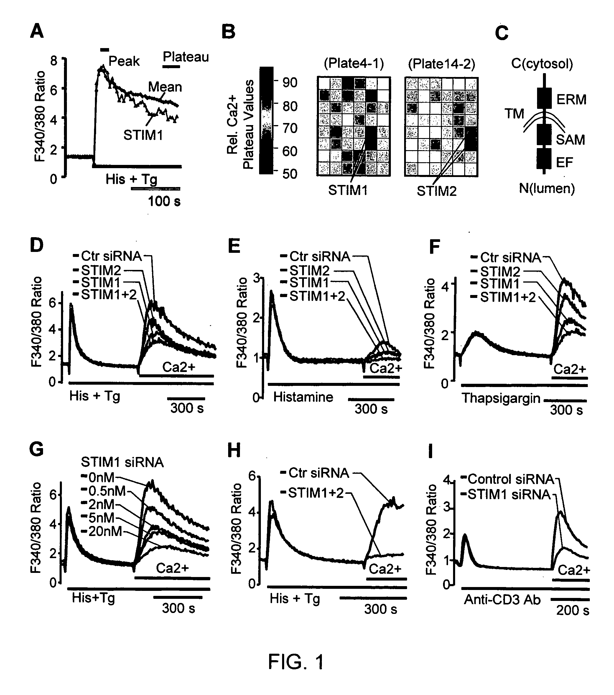 Calcium biosensor polypeptides and methods of use