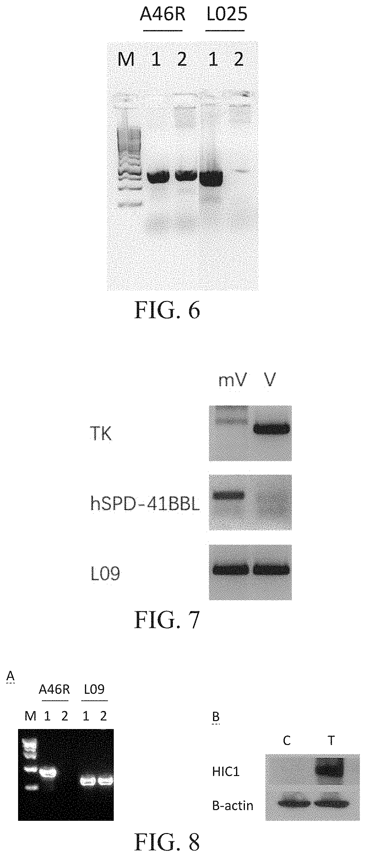 Engineered vaccinia virus