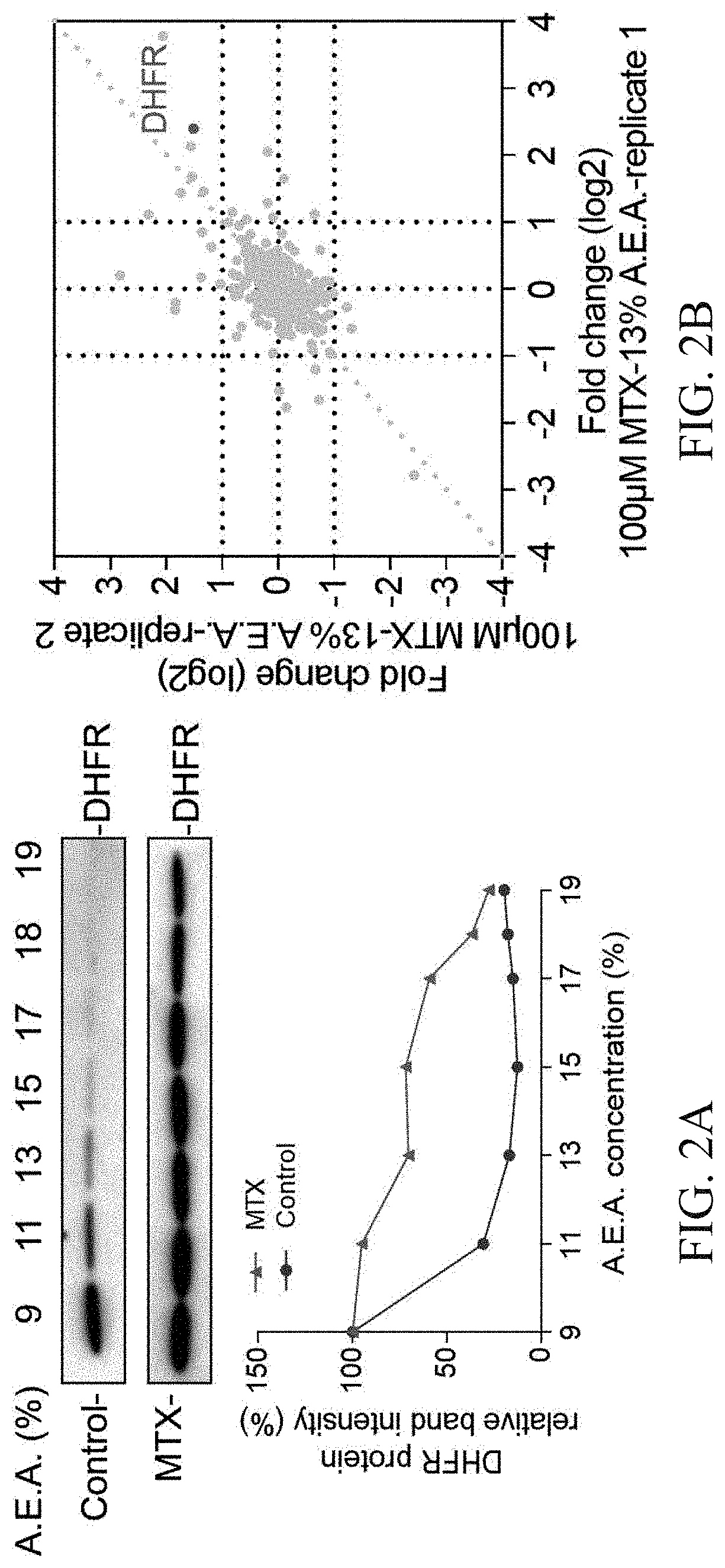 Method for detecting interaction and affinity between ligand and protein