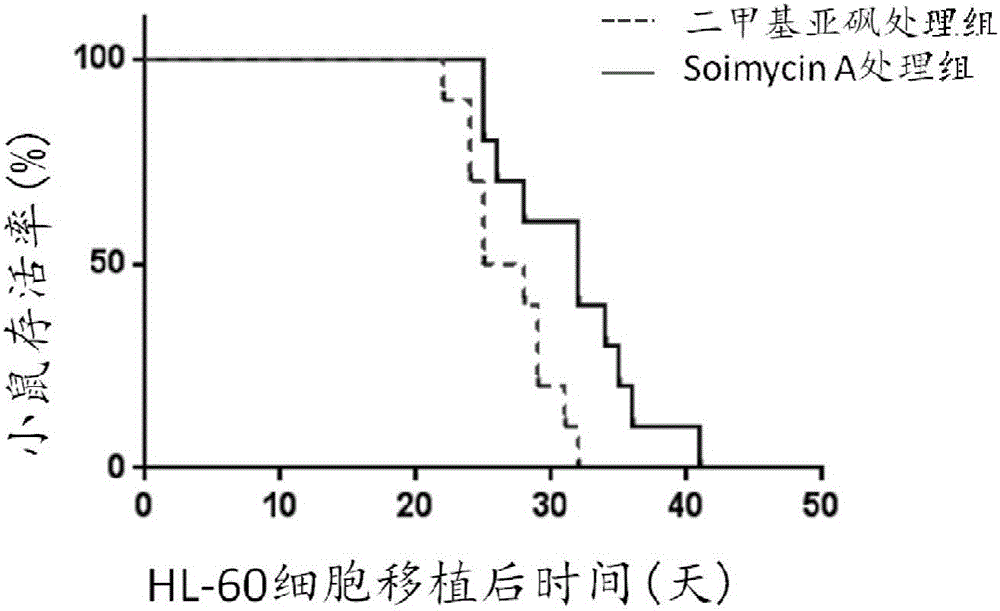 Application of Soimycin A in preparation of leukemia radiation and chemotherapy sensitizer