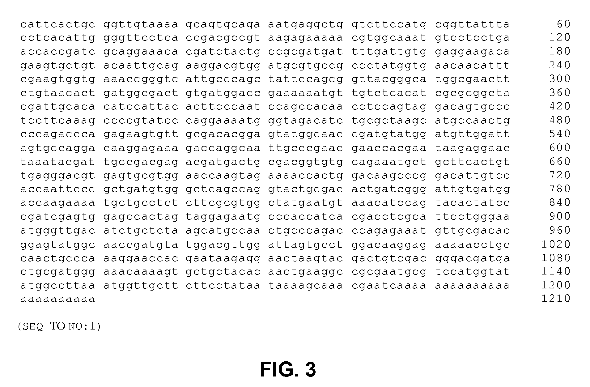 Methods, Devices, Kits and Compositions for Detecting Roundworm, Whipworm, and Hookworm