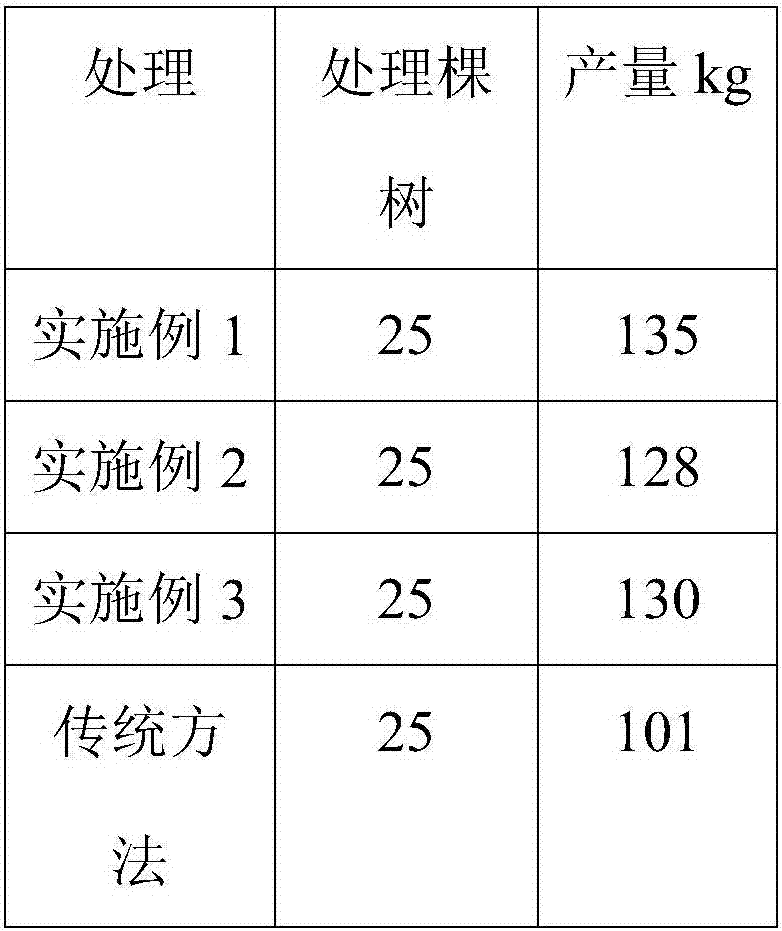 High-yield planting method for longan