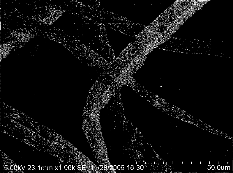 Method for preparing monosaccharide by using raw material containing cellulose