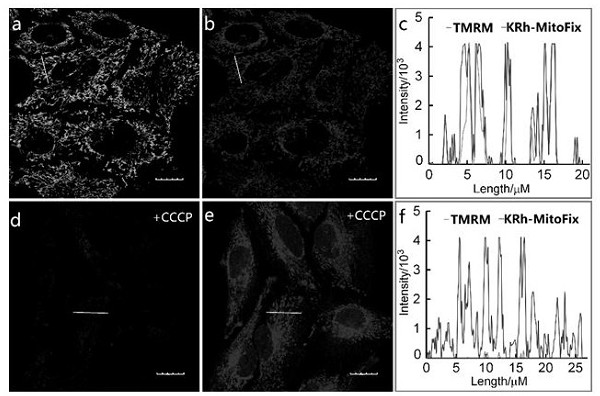 Near-infrared fluorescent compound with targeting function and application thereof