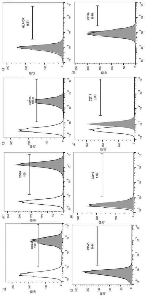 A method for obtaining mesenchymal stem cells with multi-directional differentiation potential and immunomodulatory function from children's foreskin culture