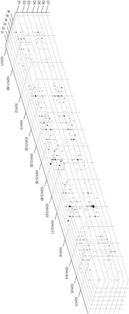 Method for high-throughput sequencing of tcr or bcr and method for correcting multiple pcr primer bias by using tag sequence