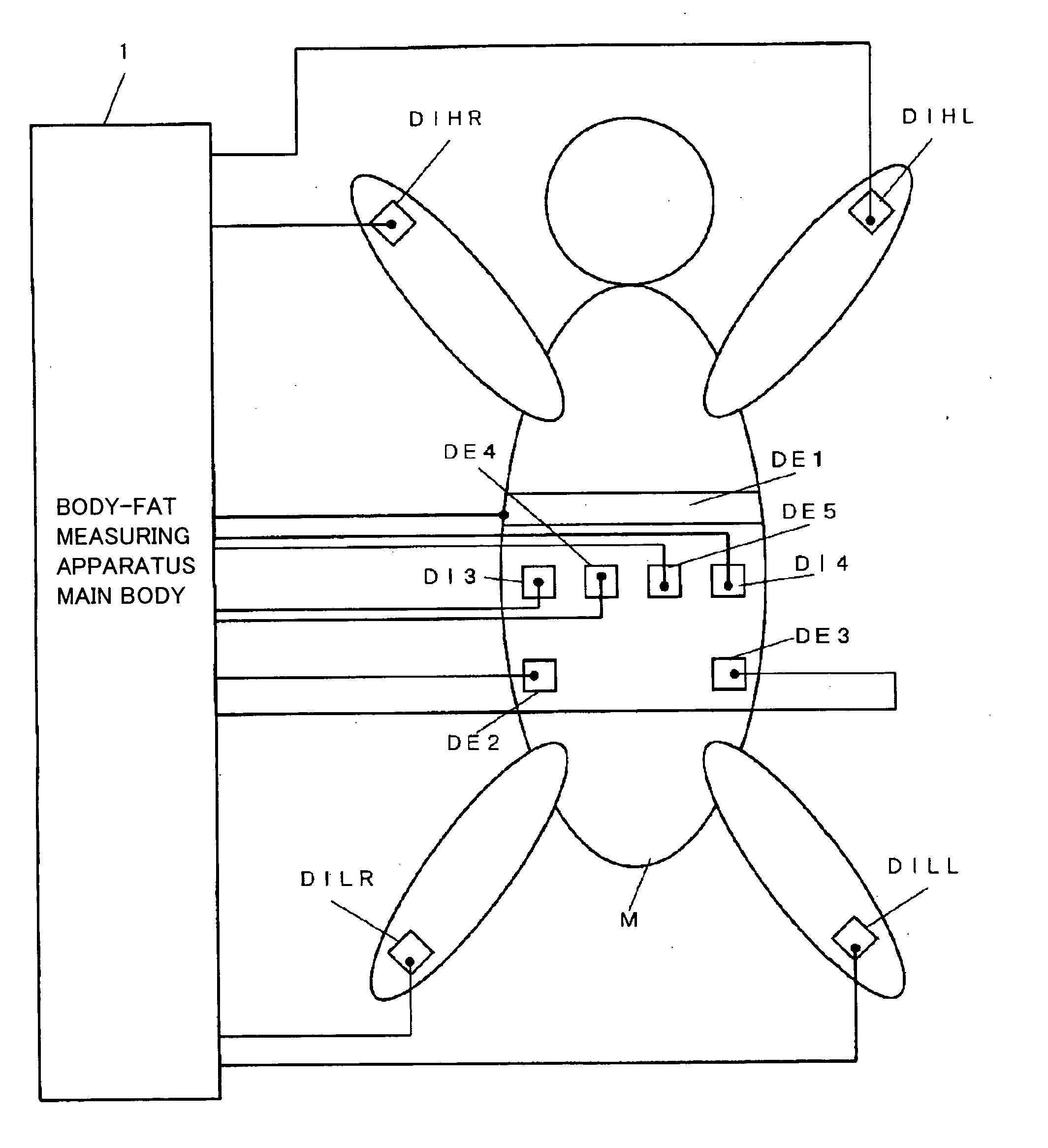 Body fat measuring apparatus capable of measuring visceral fat with high accuracy
