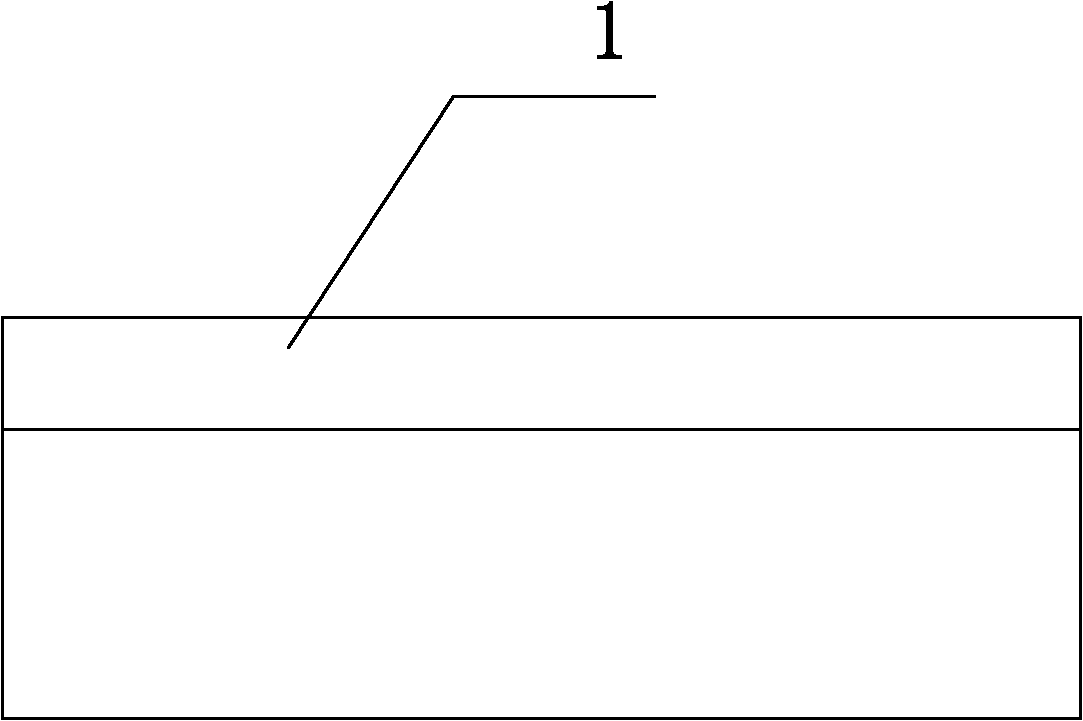 Buffer strip for blanking port of belt conveyor