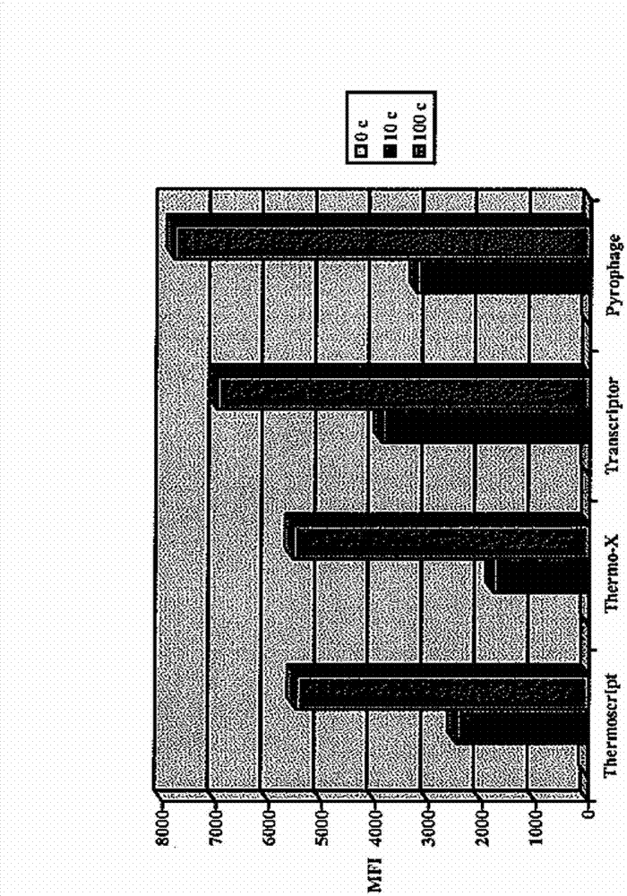 Materials and methods for isothermal nucleic acid amplification