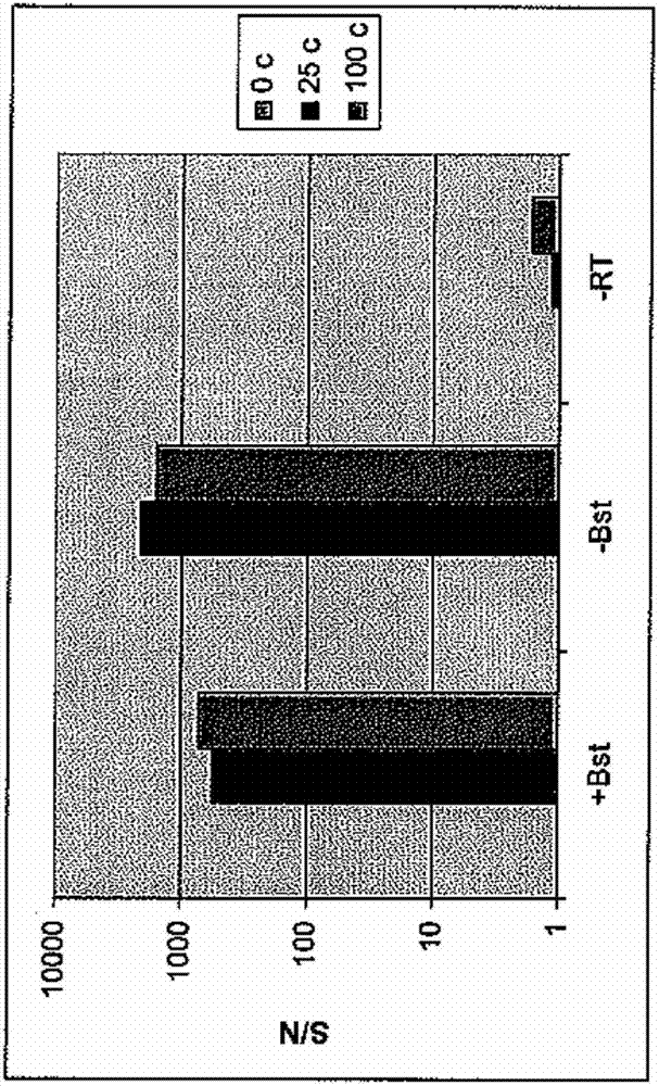 Materials and methods for isothermal nucleic acid amplification