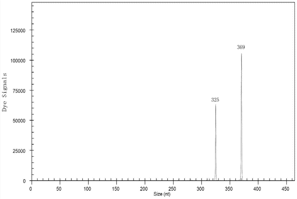 Method for rapidly detecting industrial saccharomyces pastorianus ester metabolism genes