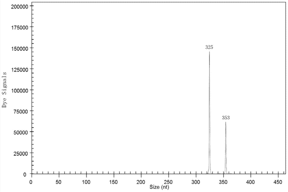 Method for rapidly detecting industrial saccharomyces pastorianus ester metabolism genes