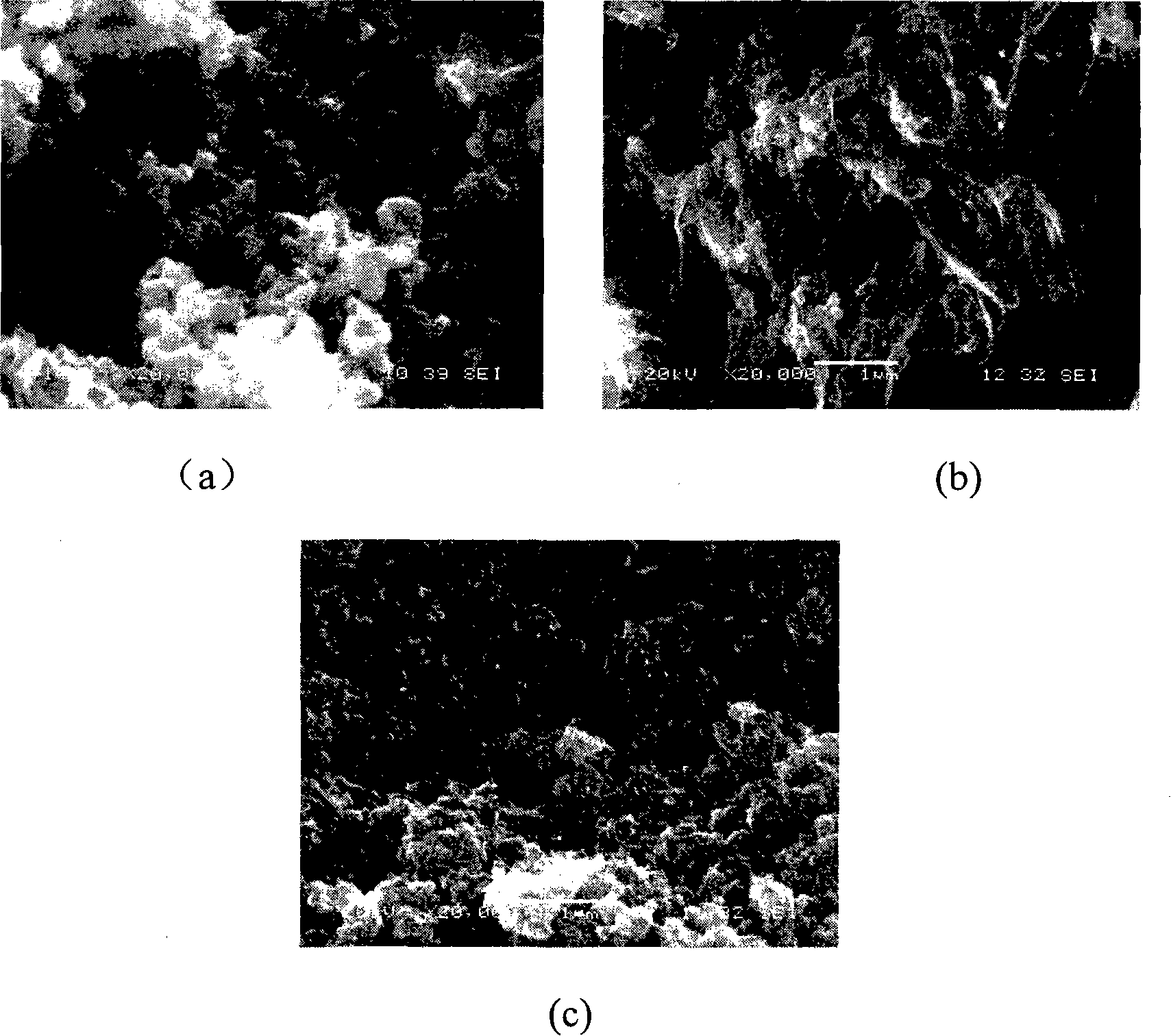 Preparation of polyaniline nano-wire/nano-particle compound system