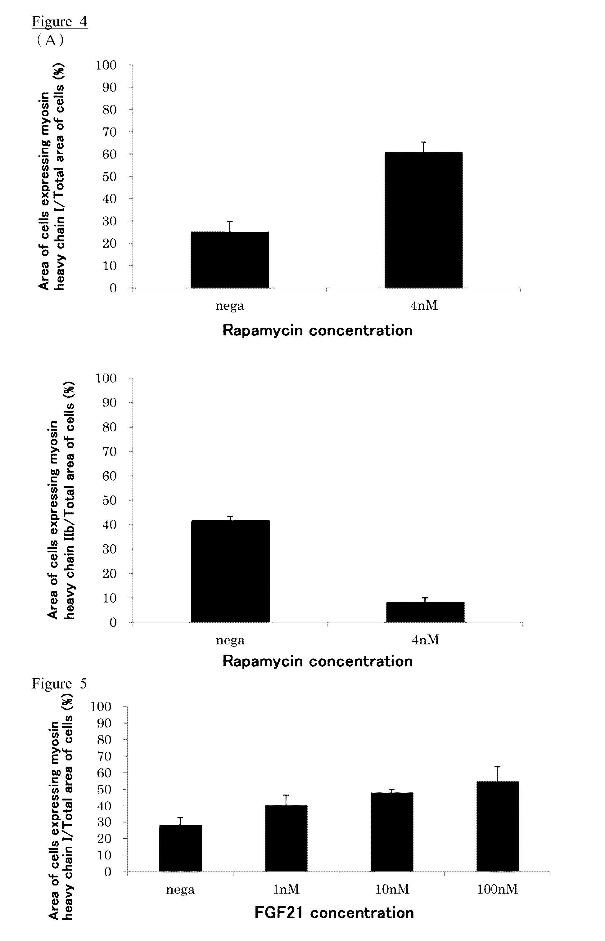 Muscle stem cell or myoblast, method for screening substances that participate in metabolic conversion using same, and pharmaceutical composition comprising substance obtained from said screening method
