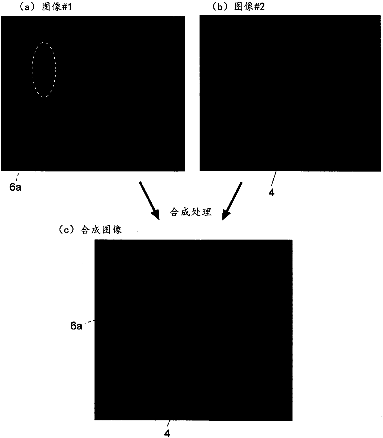 Scanning probe microscope