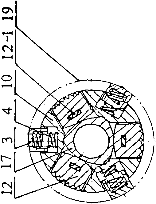 Anchoring device of screw pump