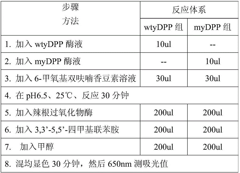 A yeast dipeptidyl peptidase III engineered by site-directed mutagenesis