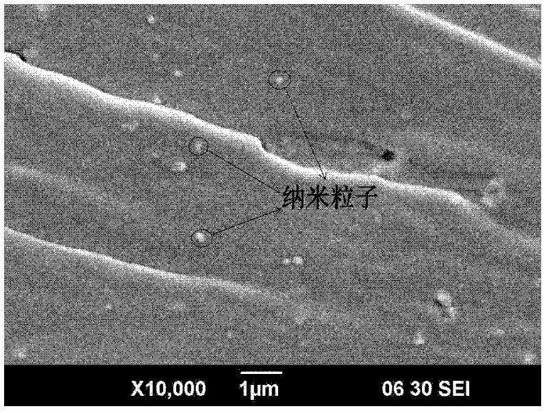 Epoxy resin matrix nano-zinc oxide composite material and preparation method thereof