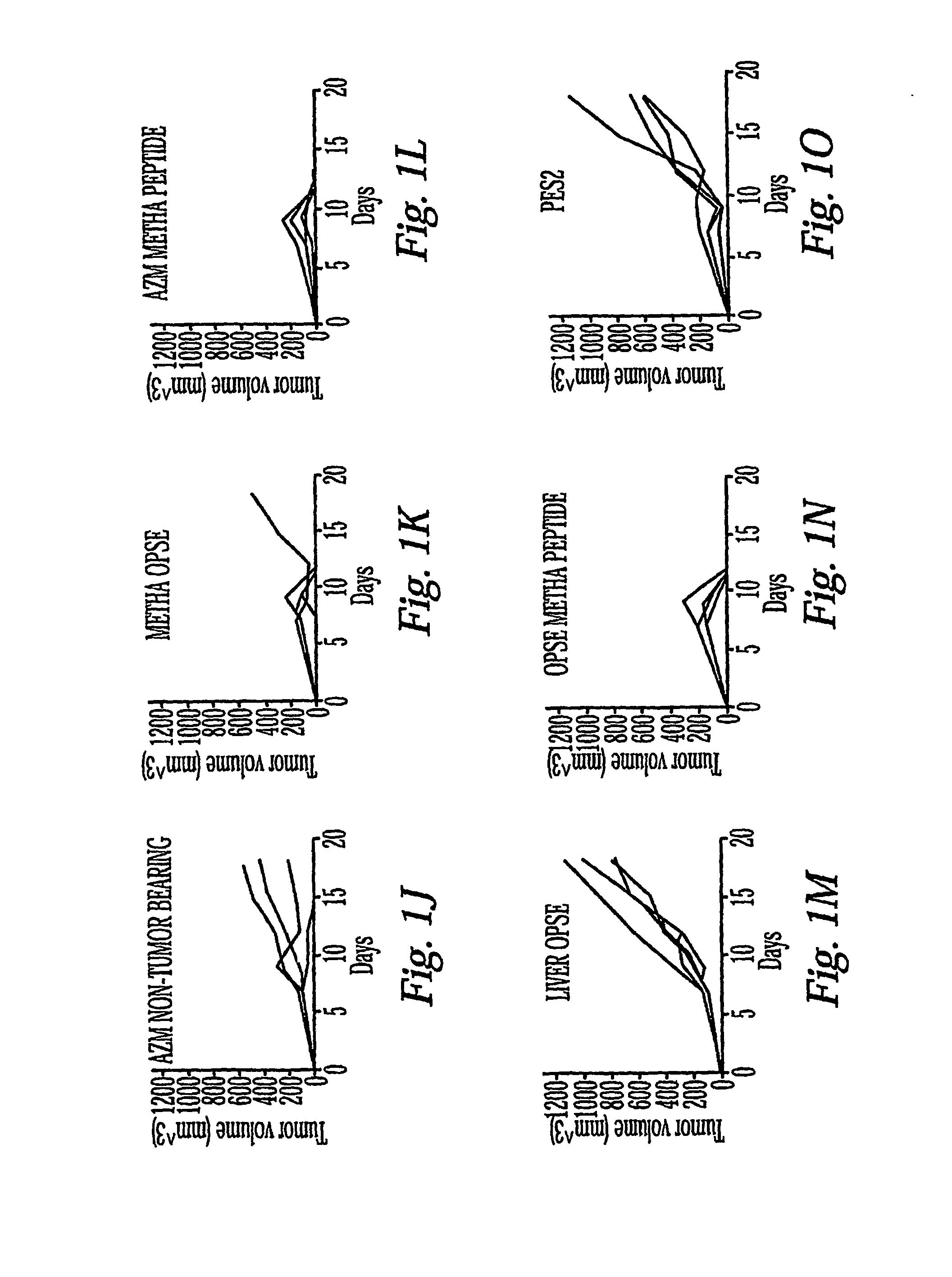 Methods and compositions for the treatment of cancer and infectious disease using alpha (2) macroglobulin-antigenic molecule complexes