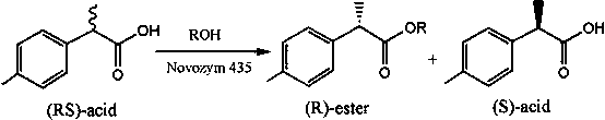 Method for catalytic esterification resolution of 2-(4-methylphenyl) propionic acid enantiomer via stereoselective enzyme