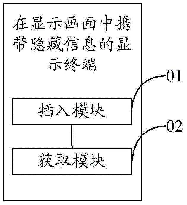 Method, display terminal and system for carrying hidden information in display image