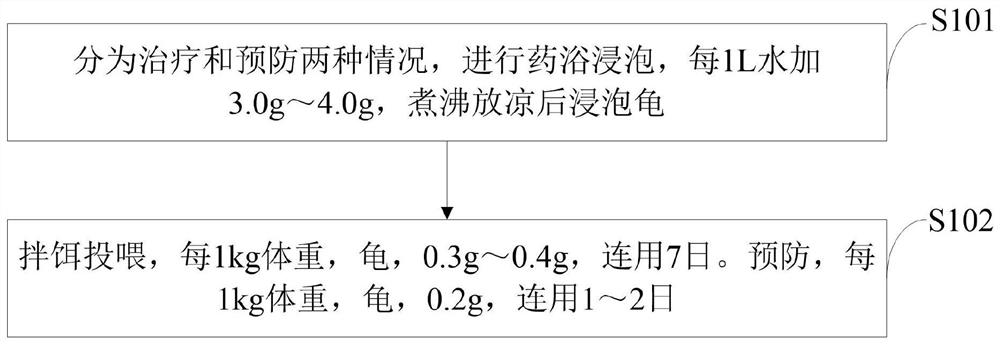 Chinese herbal medicine composition for preventing and treating turtle white eye disease and preparation method and application