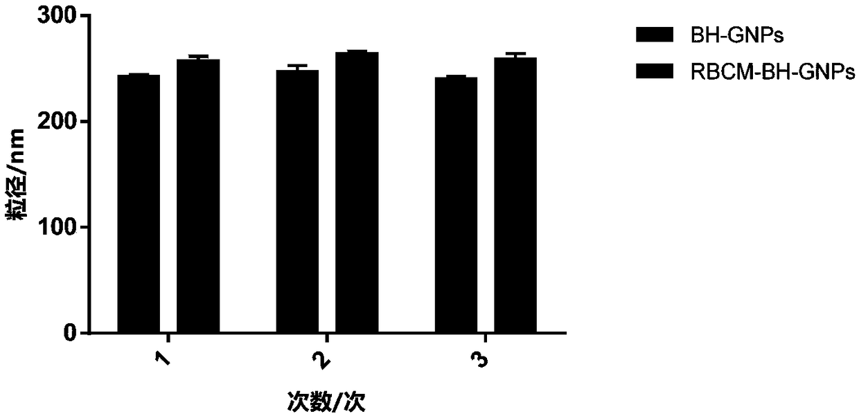 Preparation method of red blood cell membrane-coated gelatin-loaded berberine hydrochloride gold nanoparticles and application thereof