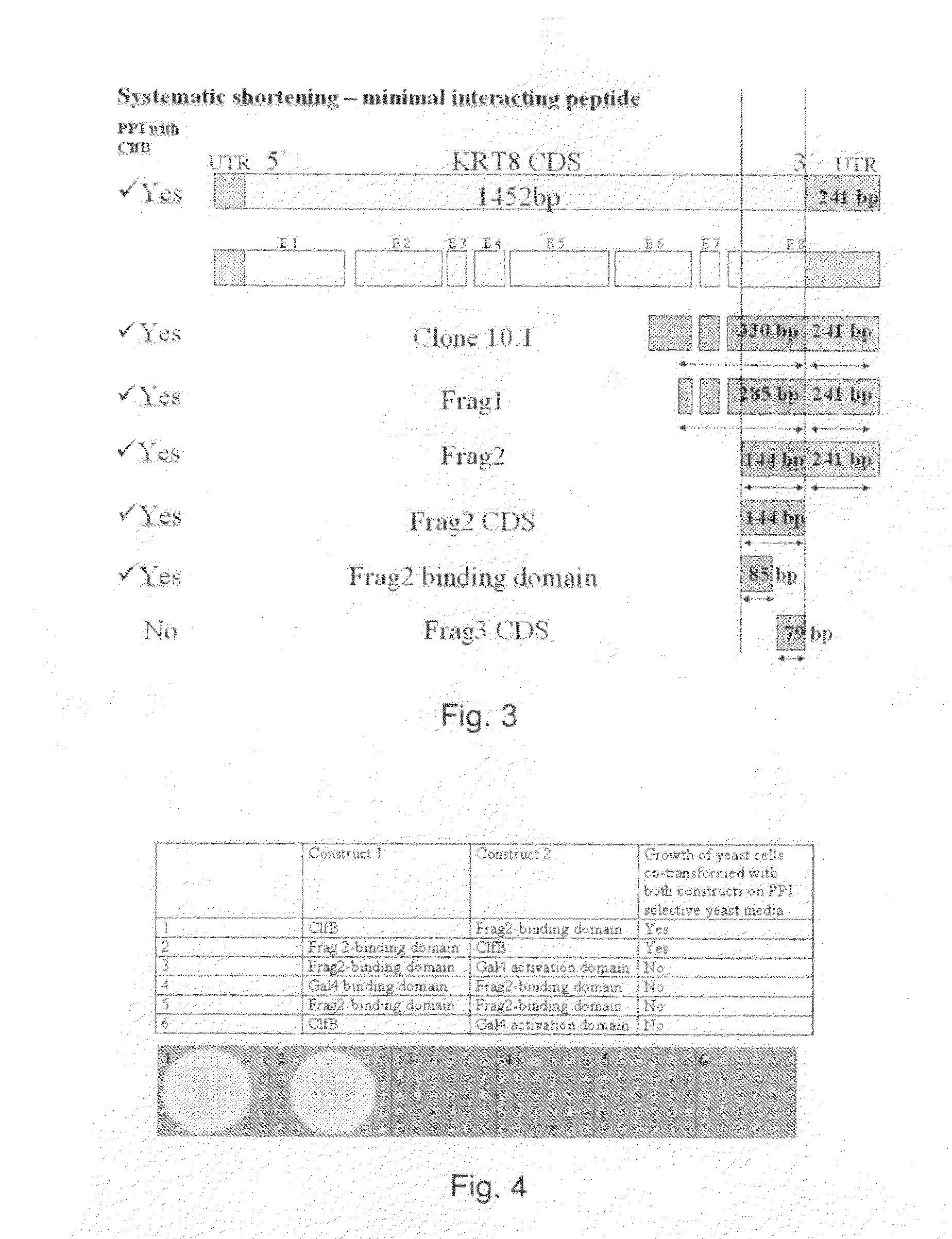 Method for Manufacturing a Modified Peptide