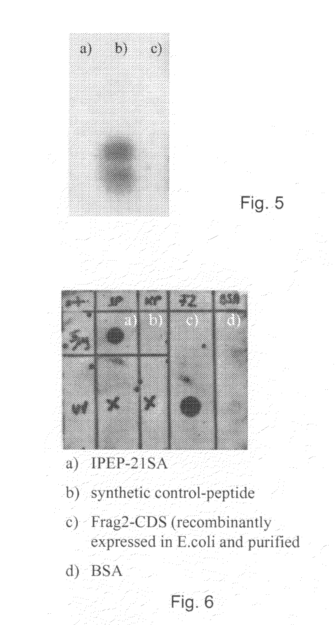 Method for Manufacturing a Modified Peptide