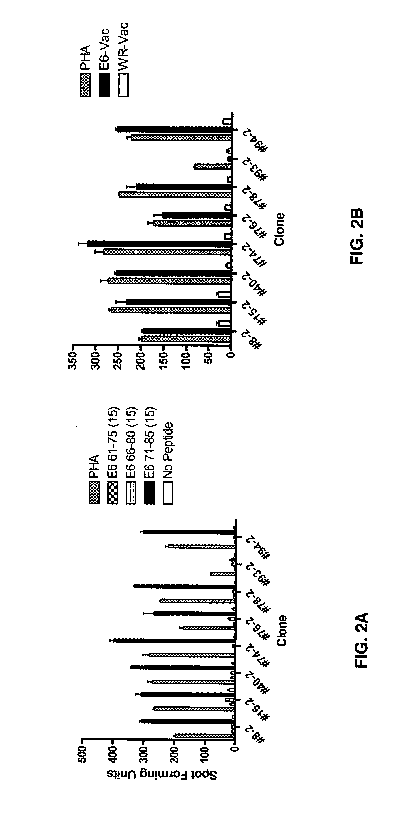 HPV E6 protein T cell epitopes and uses thereof