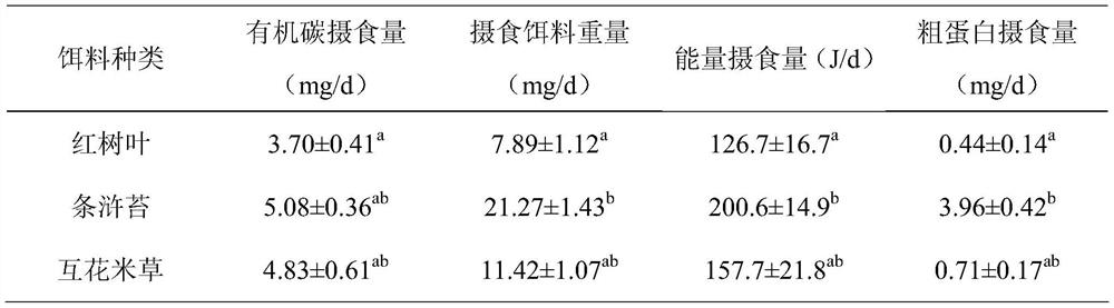 Method for measuring food intake of deposit feeder small benthic animals