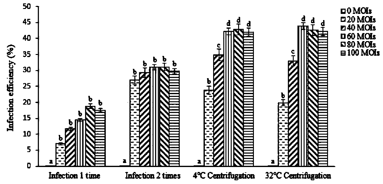 Reagent for cell infection by viruses and application of reagent