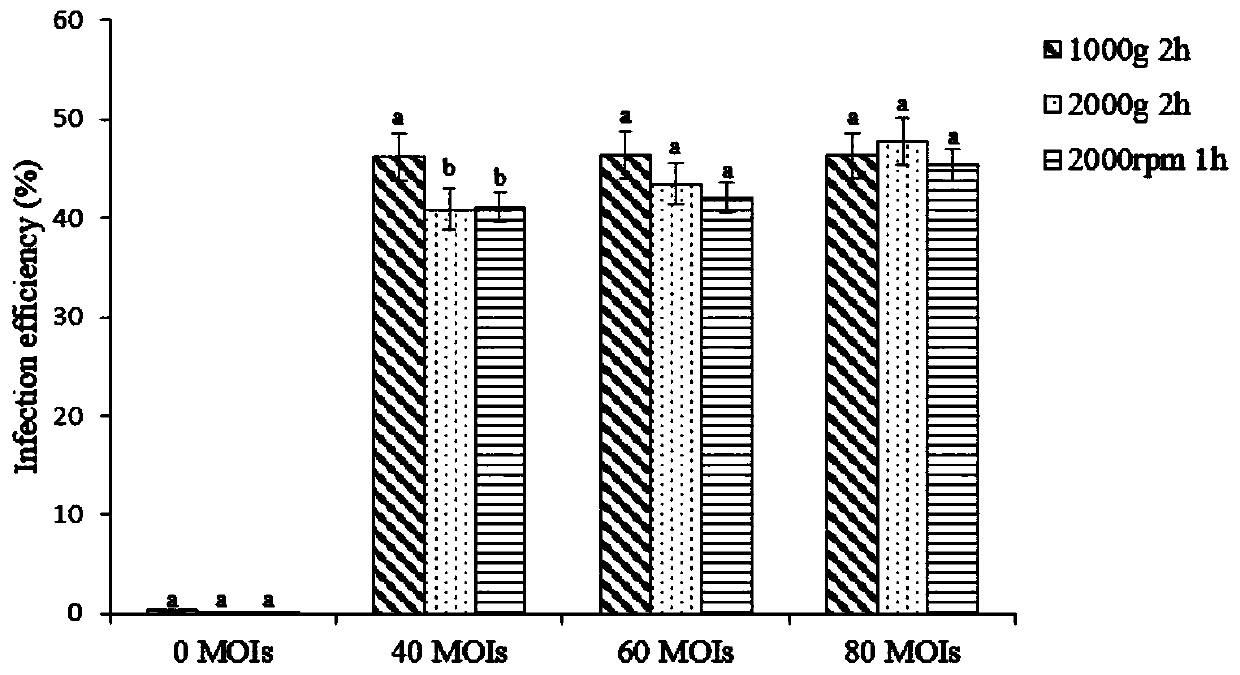 Reagent for cell infection by viruses and application of reagent