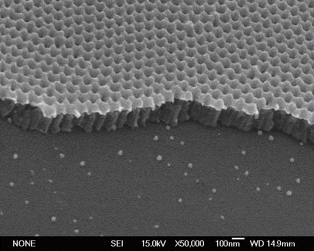 Silver nanoparticle cap array surface-enhanced Raman activity substrate and preparation method thereof