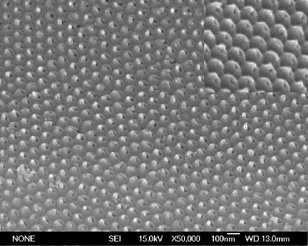 Silver nanoparticle cap array surface-enhanced Raman activity substrate and preparation method thereof