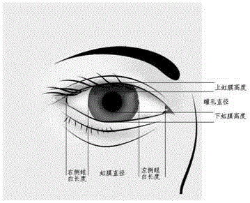 Intelligent glasses operation method and intelligent glasses