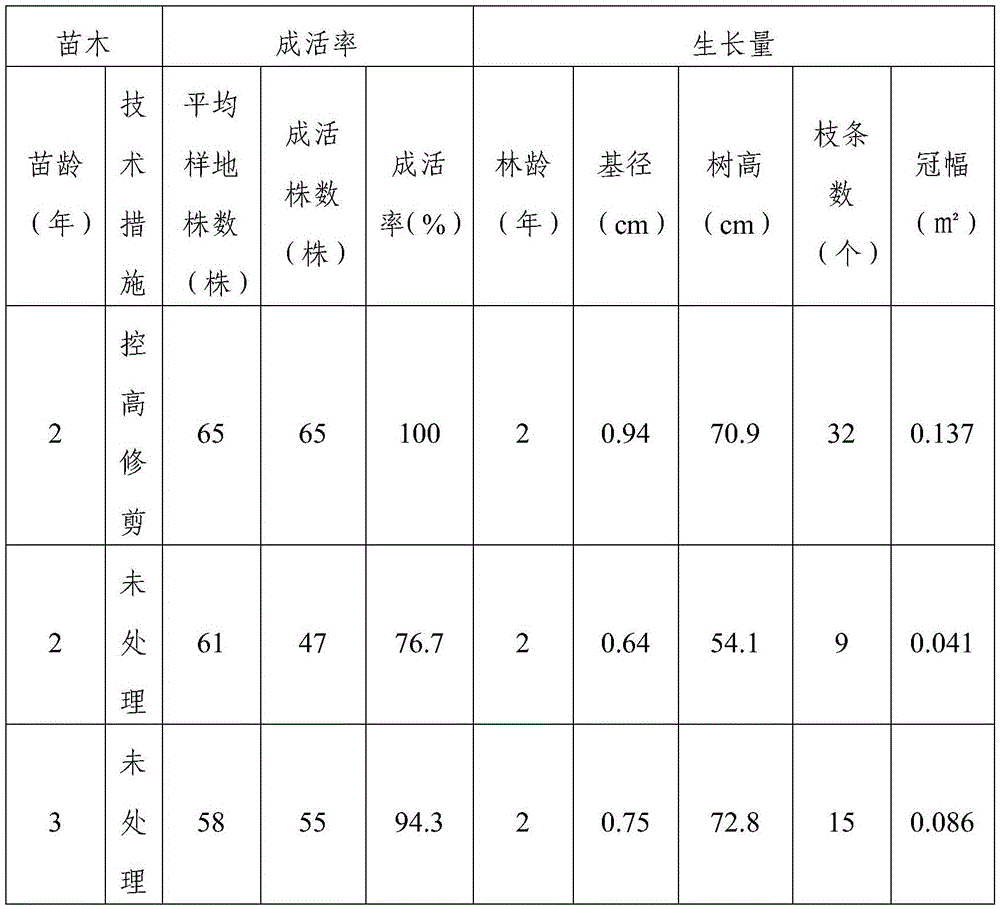 A kind of cultivation method of Camellia oleifera dwarf multi-branched seedlings