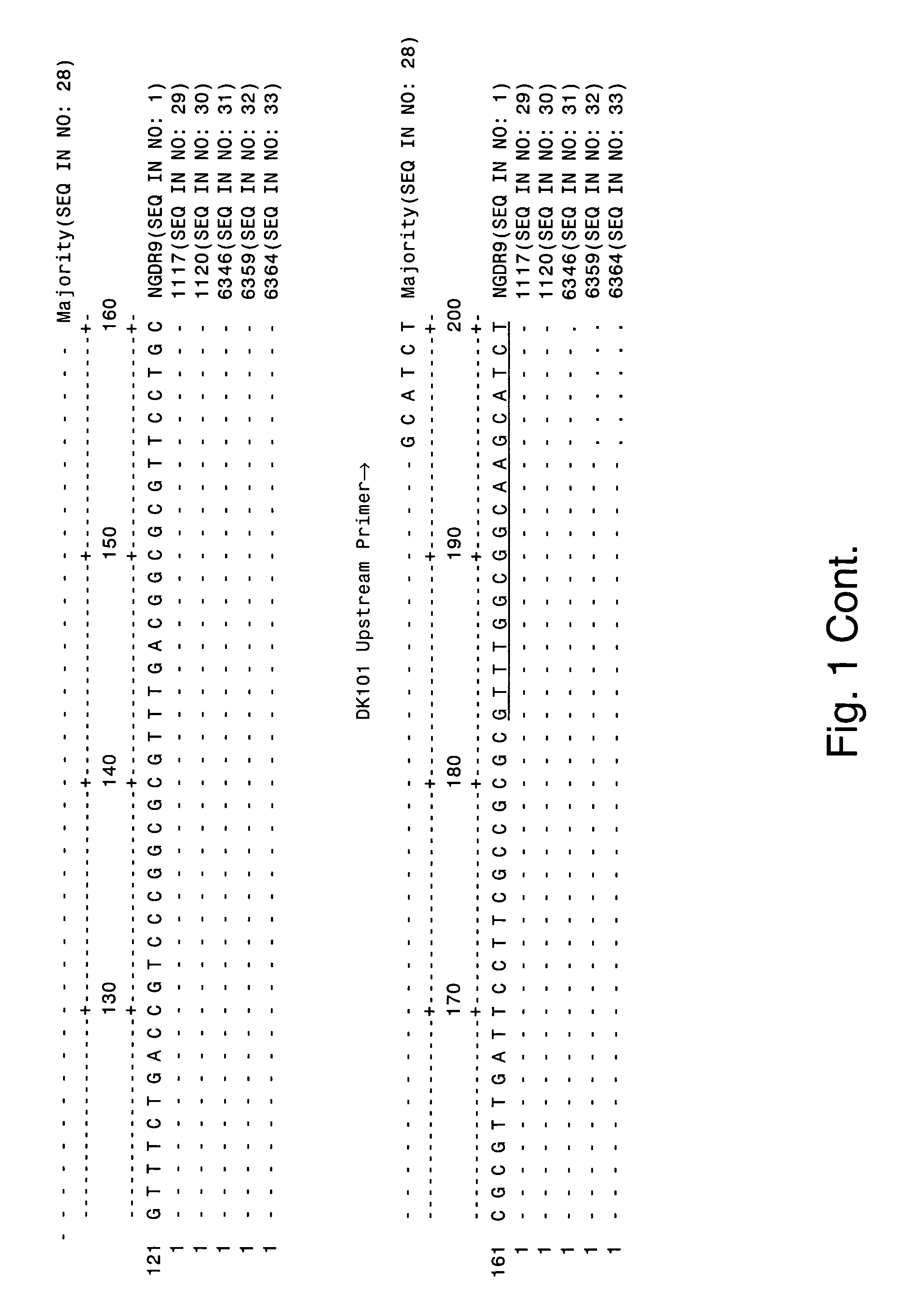Reagents and methods for detecting Neisseria gonorrhoeae