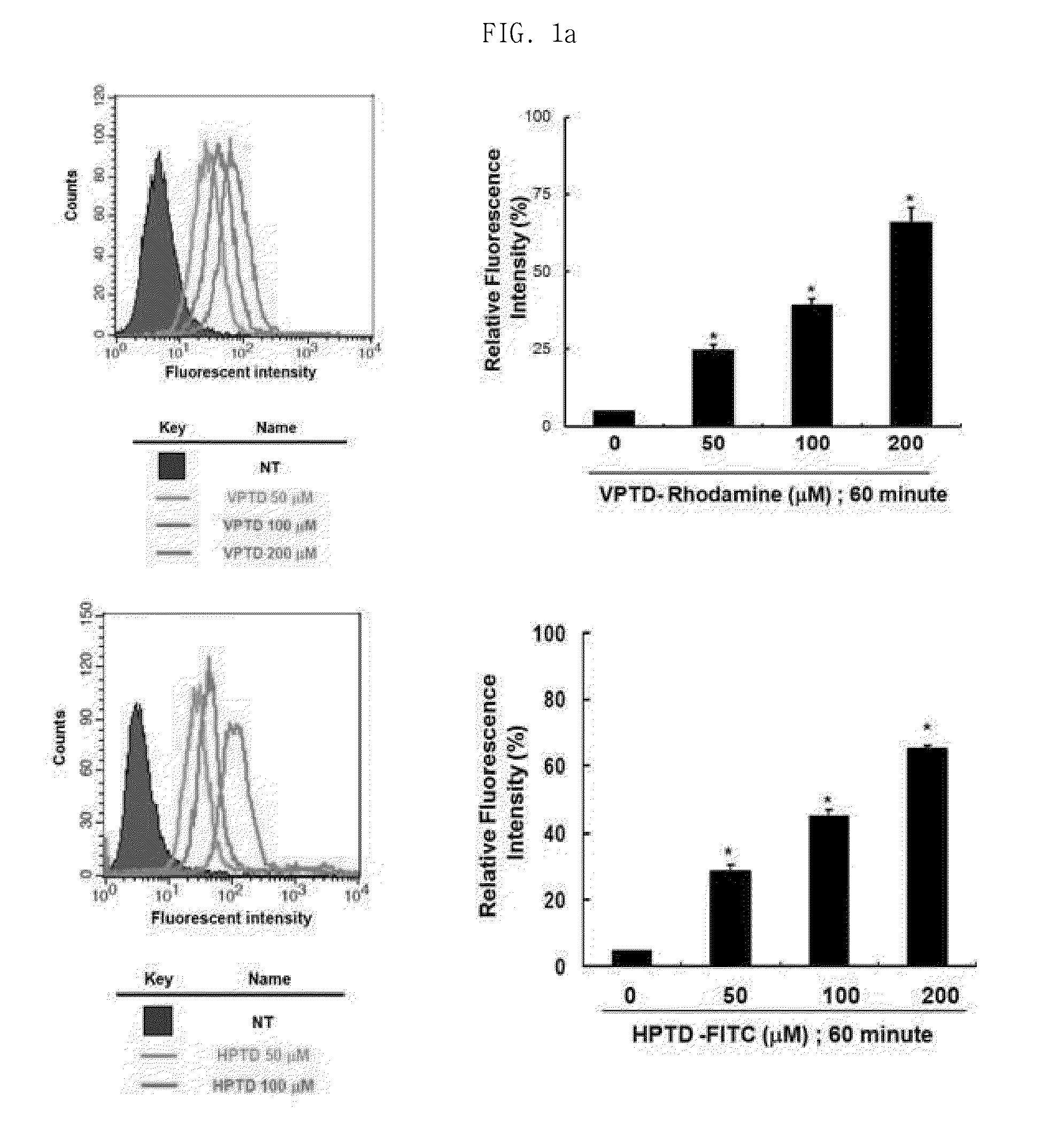 Peptide having cancer selective translocation function and use thereof